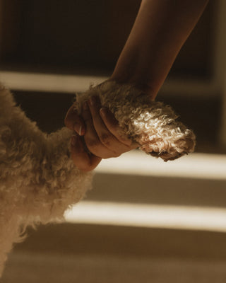 Person gently holding dog’s paw during quiet bonding moment
