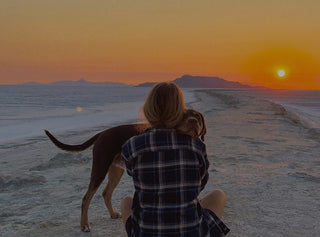 Woman sitting on beach at sunset with dog during evening walk
